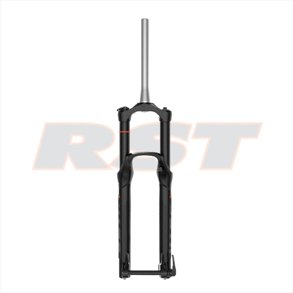 Rst shocks discount